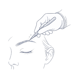 eyebrow procedure