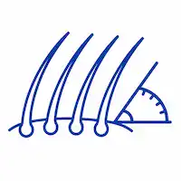 nofatigued drivendecline
