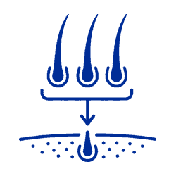 fui transplant